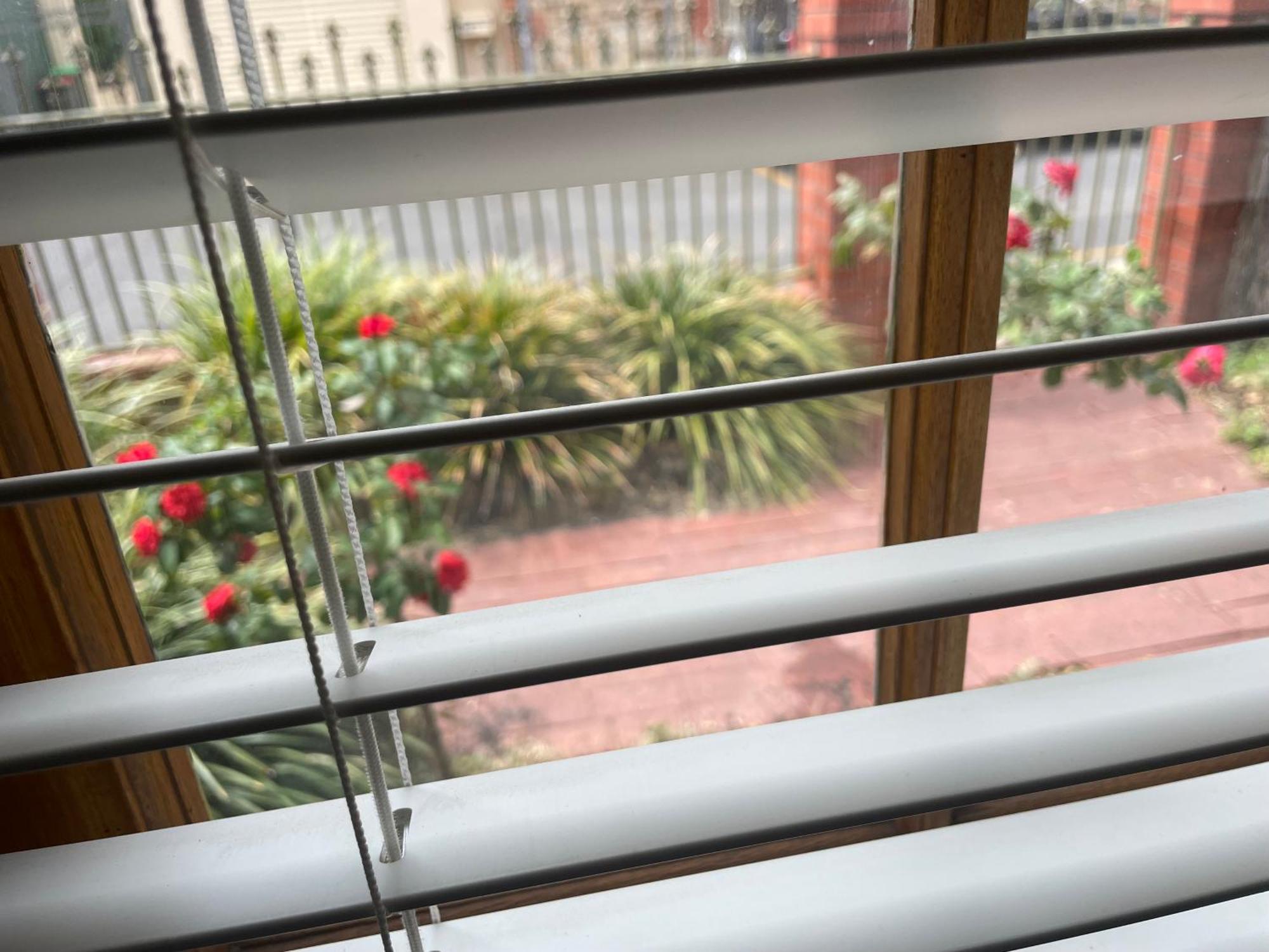 Adelaide Style Accommodation-Getaway In North Adelaide- Close To City Екстер'єр фото