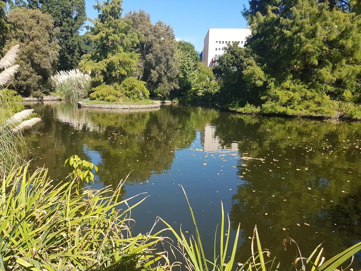 Adelaide Style Accommodation-Getaway In North Adelaide- Close To City Екстер'єр фото
