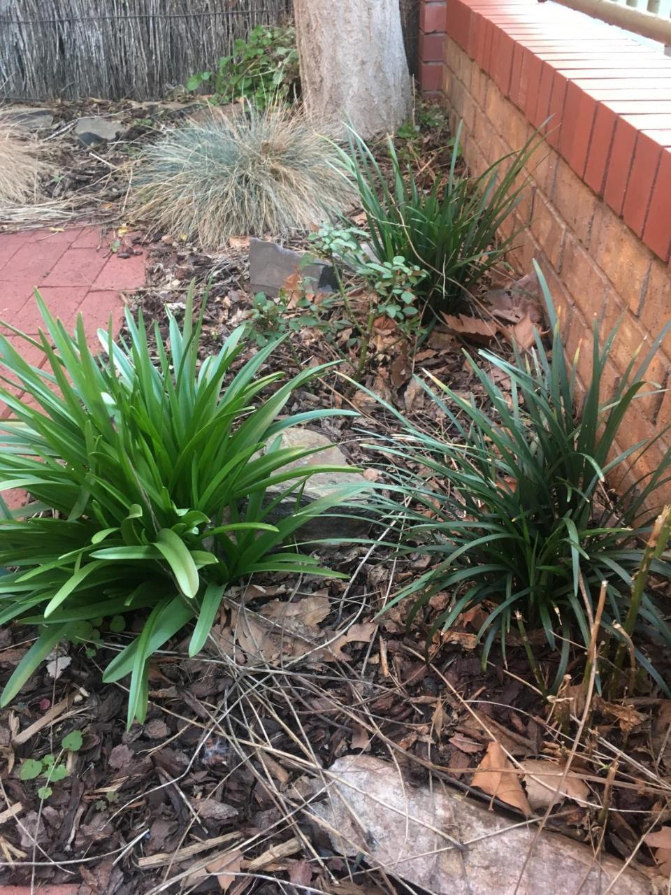 Adelaide Style Accommodation-Getaway In North Adelaide- Close To City Екстер'єр фото