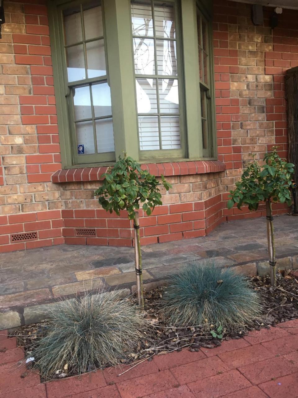 Adelaide Style Accommodation-Getaway In North Adelaide- Close To City Екстер'єр фото